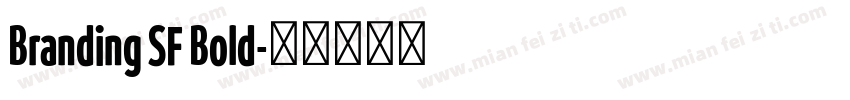 Branding SF Bold字体转换